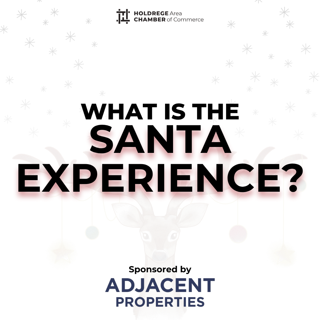 Santa Experience