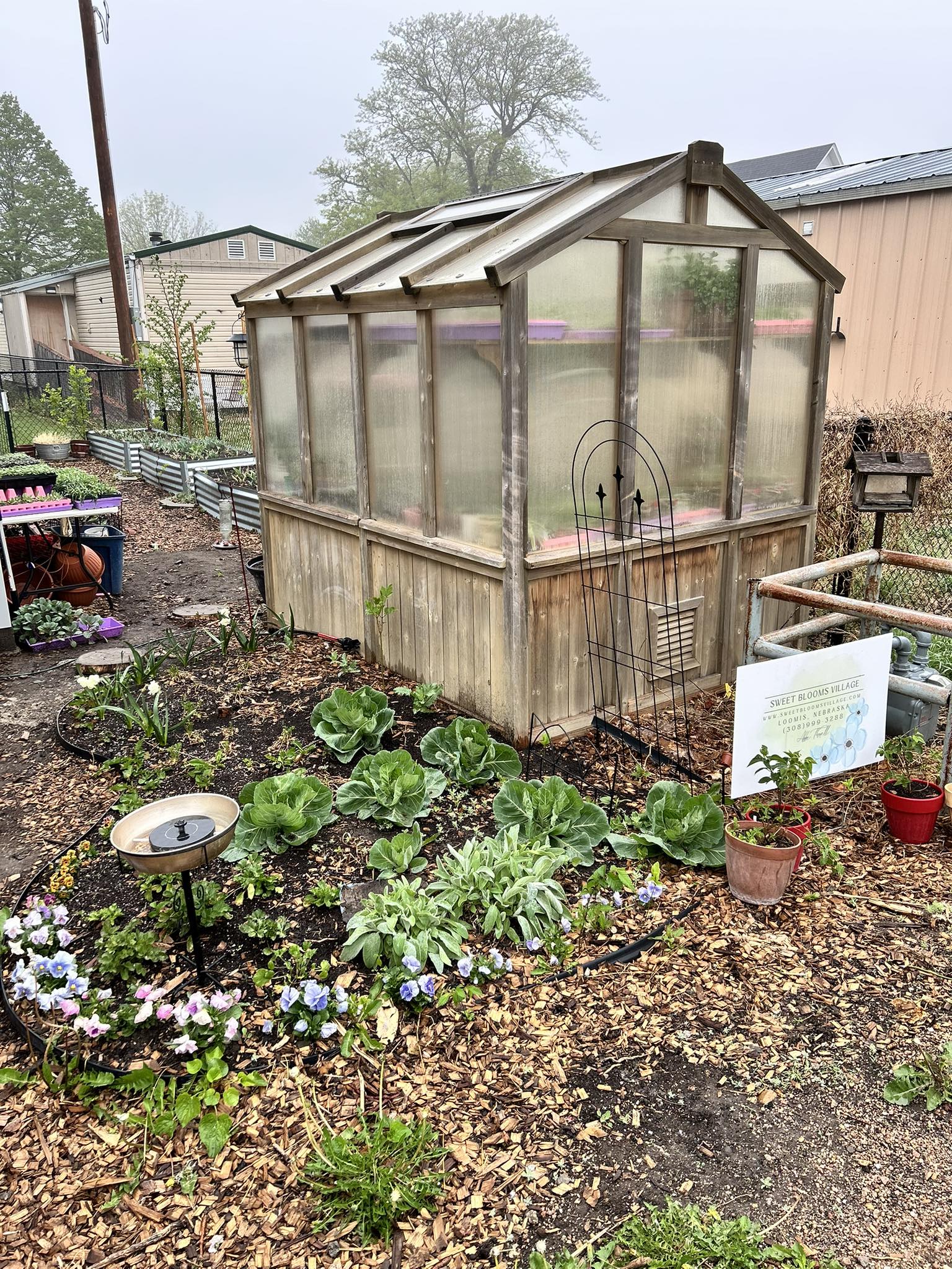 Sweet Blooms Village Farm